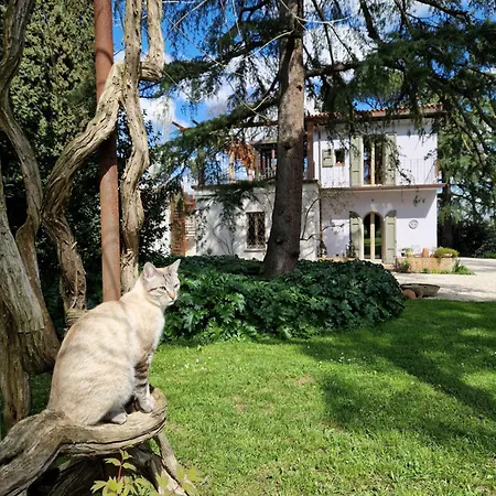 Quarto em Acomodações Particulares Calicanto - Dimora Nel Parco Faença