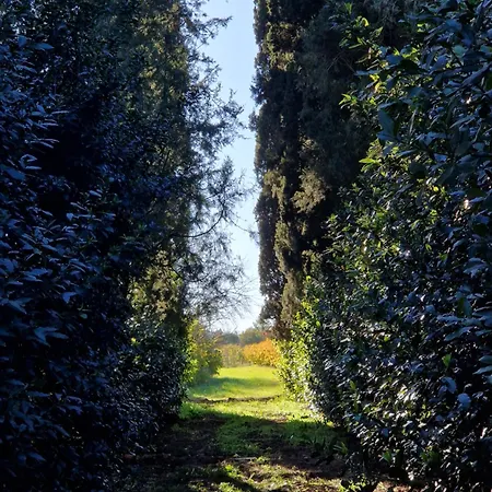 Calicanto - Dimora Nel Parco Quarto em Acomodações Particulares