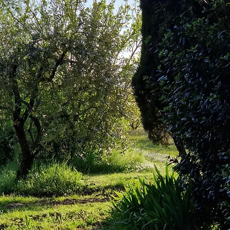 Quarto em Acomodações Particulares Calicanto - Dimora Nel Parco