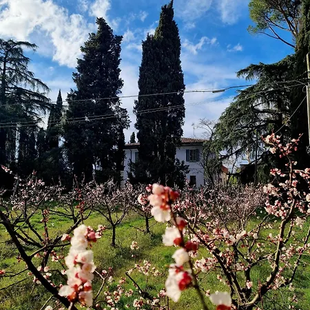 Calicanto - Dimora Nel Parco Quarto em Acomodações Particulares Faença