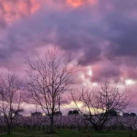 Calicanto - Dimora Nel Parco Quarto em Acomodações Particulares Faença