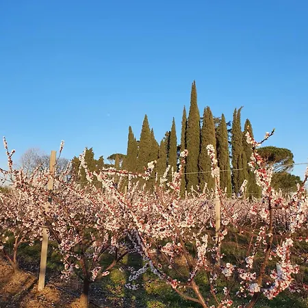 Quarto em Acomodações Particulares Calicanto - Dimora Nel Parco *