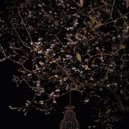 Quarto em Acomodações Particulares Calicanto - Dimora Nel Parco