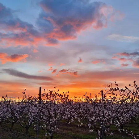 Quarto em Acomodações Particulares Calicanto - Dimora Nel Parco Faença