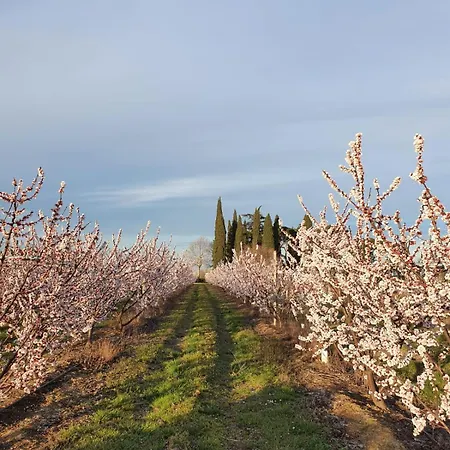 Calicanto - Dimora Nel Parco Faença
