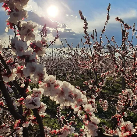 Calicanto - Dimora Nel Parco * Faença