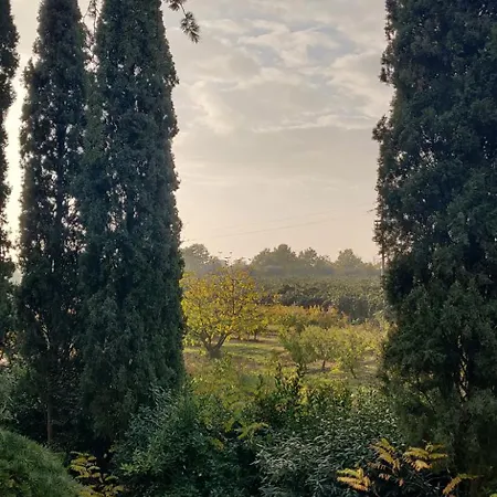 Calicanto - Dimora Nel Parco Quarto em Acomodações Particulares