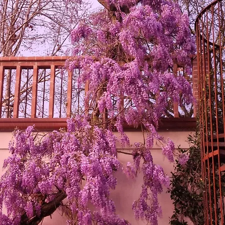Calicanto - Dimora Nel Parco Quarto em Acomodações Particulares Faença
