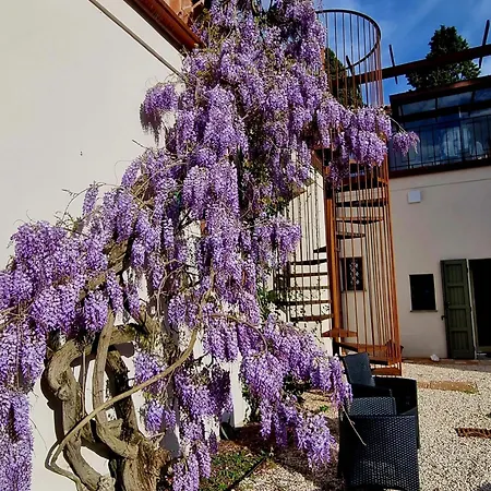 Calicanto - Dimora Nel Parco * Faença