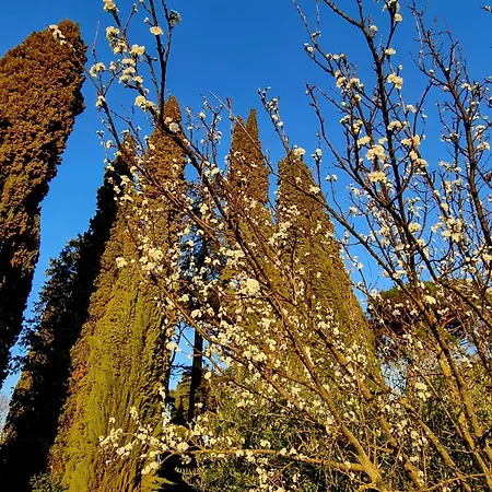 Quarto em Acomodações Particulares Calicanto - Dimora Nel Parco *