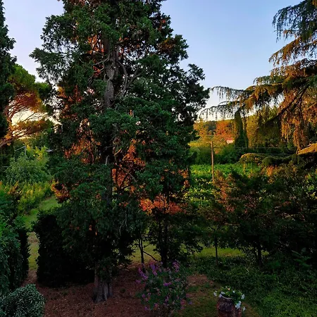 Calicanto - Dimora Nel Parco Quarto em Acomodações Particulares *