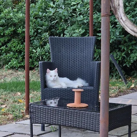 Calicanto - Dimora Nel Parco Faença