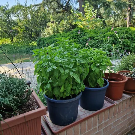 Calicanto - Dimora Nel Parco Quarto em Acomodações Particulares Faença