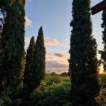 Calicanto - Dimora Nel Parco Quarto em Acomodações Particulares Faença